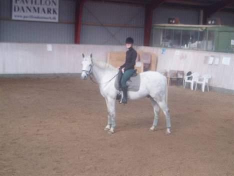 Anden særlig race Moonlight af Ellemose - er vi ikk` søde:D<3 billede 10