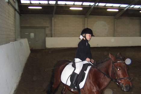 Anden særlig race Flicka  <3 den hurtige - lille søs rider lige flicka lidt :8 billede 7