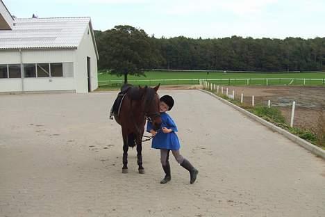 Anden særlig race Flicka  <3 den hurtige - noar` lille flicka billede 9