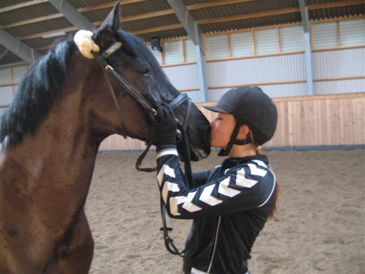 Anden særlig race Whisky Solgt ;) billede 6