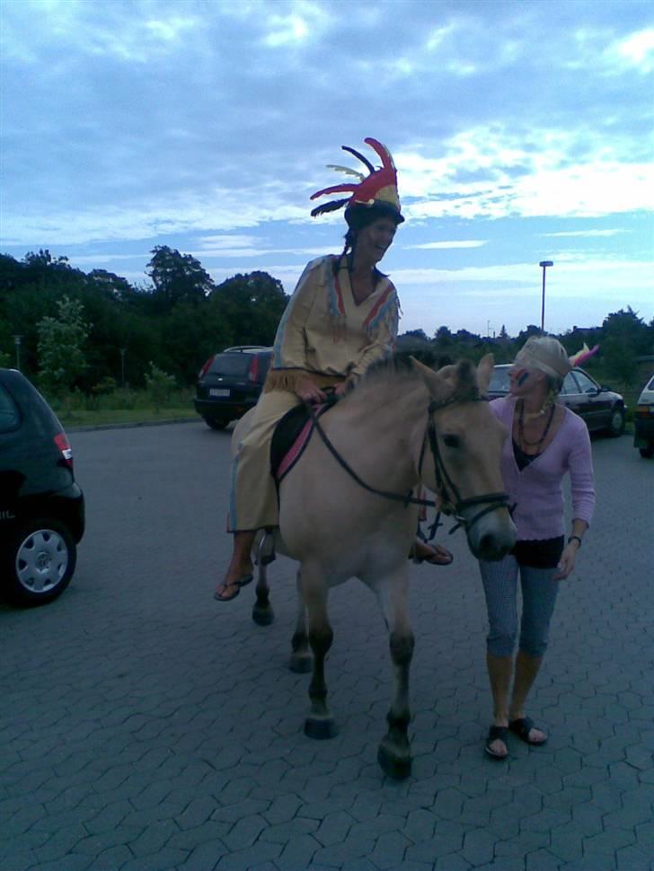 Anden særlig race LYNGHOLTS FRIDA solgt :-( - Frida med i vuggeren.. og være træk hest.. og klappe hest.. med stor succes... billede 17
