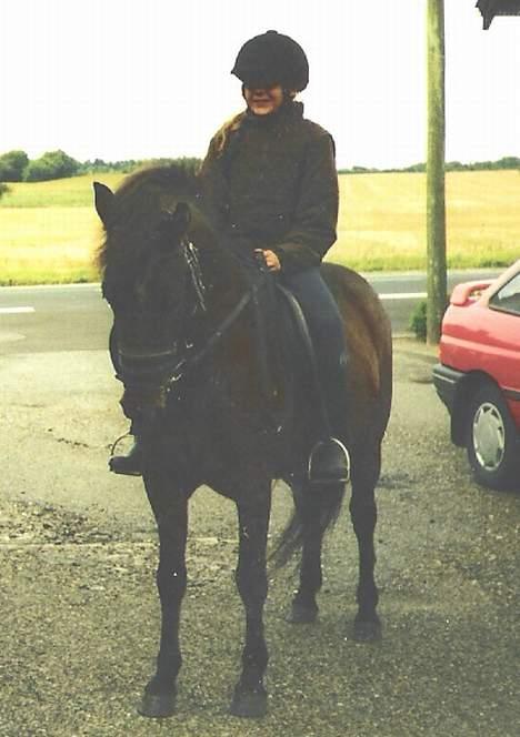 Anden særlig race Bjørn (Solgt) - hjemme for at hilse. billede 8