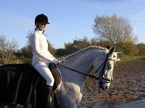 Anden særlig race Moonlight af Ellemose - Stævne SAM 2005 billede 13