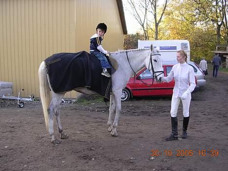 Anden særlig race Moonlight af Ellemose - Børnevenlig er han også :) billede 14