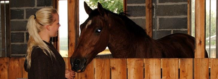 New Forest Pheasants Larry - Min Øjesten - Dejligt 1.gensyn med pony´prinsen i hans nye stald på Fyn :) billede 12