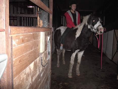 Pinto Miki - Min dejlige pony Miki og mig. billede 1