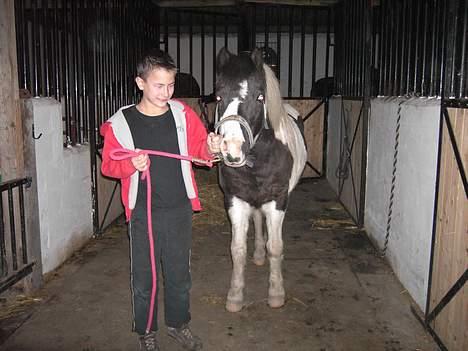 Pinto Miki - Miki og mig på vores staldgang. billede 2