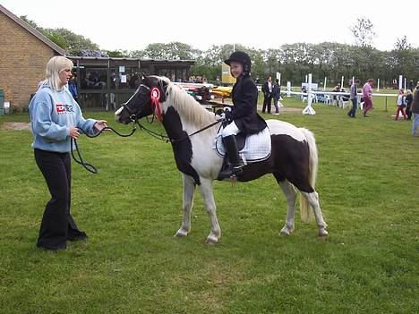 Pinto Miki - stævnebillede ponygame billede 3