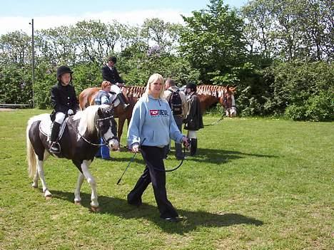 Pinto Miki billede 5