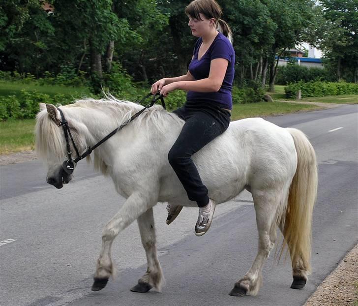 Anden særlig race <3 Laura <3 † R.I.P †  - © Annøh billede 12