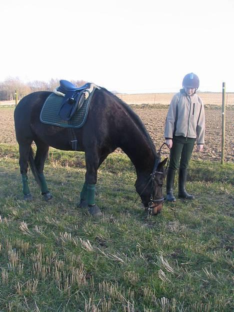 Traver Elliot Swing (Fjot) Død) - Bare herligt med lidt græs 24 marts 2007. Foto Trine billede 19