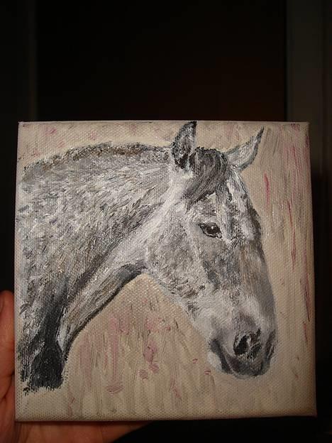 Anden særlig race Solis - et lille maleri af solis, med vinterpels og babymuskler.  billede 19