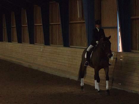 Dansk Varmblod Macon - Igang med LA1 her er vi ved at skridte.  billede 11