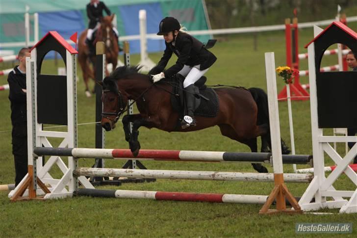 Anden særlig race Flicka  <3 den hurtige - Morsø 2008 :D Lb! <3333333 billede 12