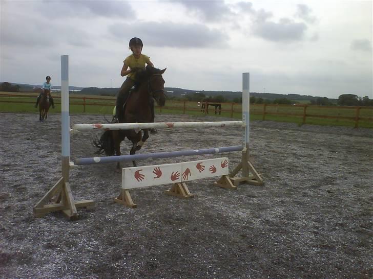 Anden særlig race Flicka  <3 den hurtige - *NYT* Jeg springer en meter på lille Fliks! <3<3 billede 15