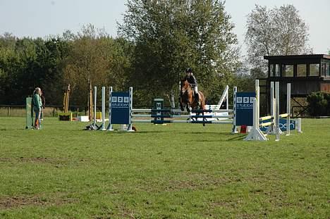 Connemara Disney's Fedtmule SOLGT - SMID EN BEDØMMELSE ! :D  billede 11