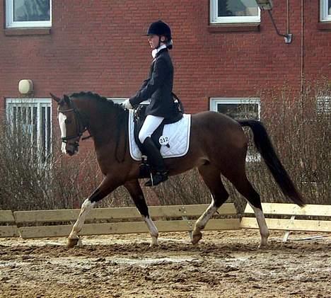 Anden særlig race Sharon (solgt) - Sharon og Mathilde. Det er hende jeg købte Sharon af. Billedet er fra Mathilde og Sharons første stævne sammen i Ikast april 2006, da hun kun havde haft ham i 3 uger. billede 8