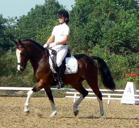 Anden særlig race Sharon (solgt) - Det er Louise og Sharon. Mathilde købte Sharon af Louise, og nu har jeg købt ham !! :D Sharon har været herinde før på Louises bruger. billede 9