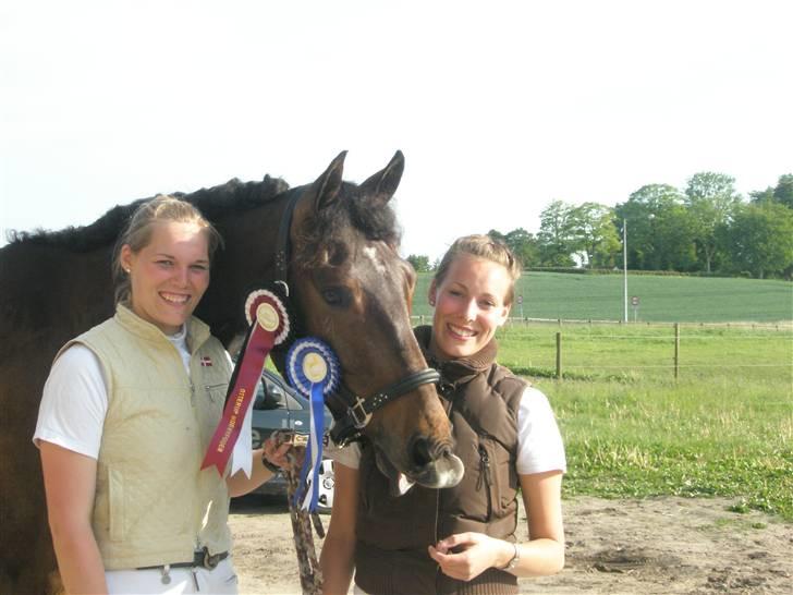 Trakehner Burberry - Bubbi er sej! Vandt sin 1. LA5 og 2´er i LA3 - Maj 2009 billede 8