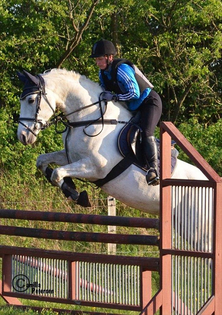 Anden særlig race Miss Furio - Spring træning 11 Maj, Taget af Camilla Petersen billede 11