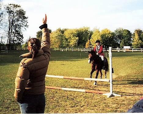 Anden særlig race Ti Amo (SOLGT) - Ti Amo og jeg til stæve på Nordborg Rideskole for 2 år siden billede 17