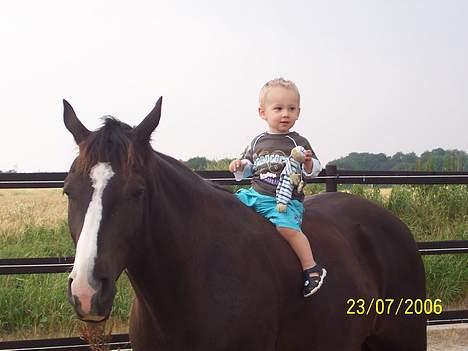 Fuldblod (XX) White Blackie - Er lige med mor ude at ride billede 10