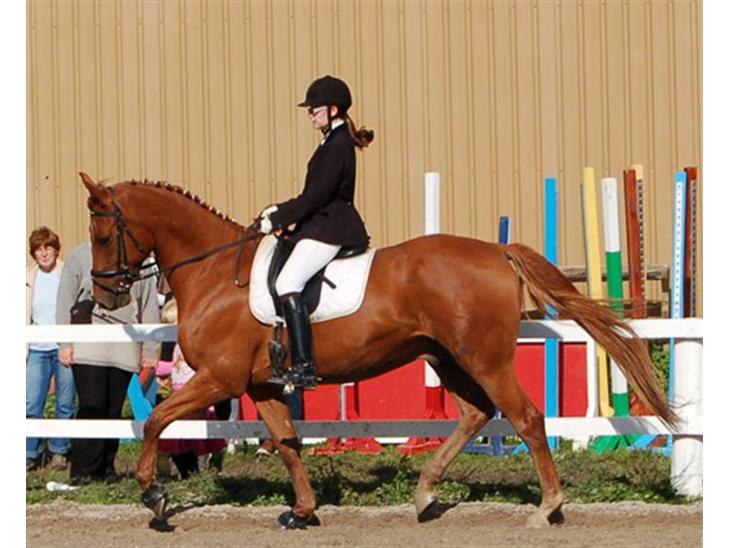 {{currentPhoto.altText}} billede {{currentPhoto.number}}