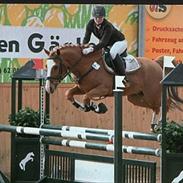 Tysk Sportspony Welcome Williams