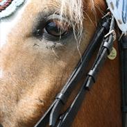 Anden særlig race sprint