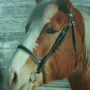 Anden særlig race sprint