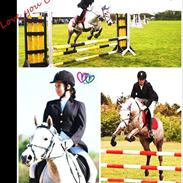 Anden særlig race Colleen