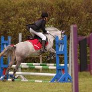 Anden særlig race Colleen