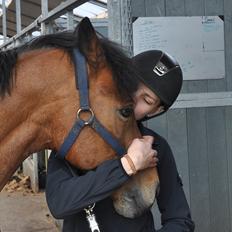 Welsh Partbred (Sec F) Marieton's Sanssousi