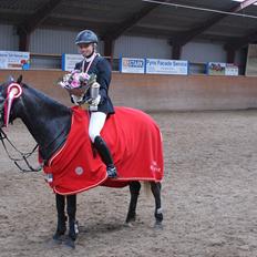 Anden særlig race Jojo (solgt)