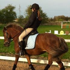 Anden særlig race Blanca