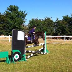 Anden særlig race Blanca