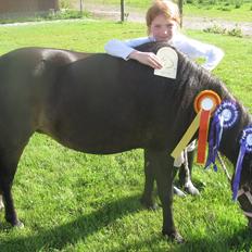 Anden særlig race My La Belle