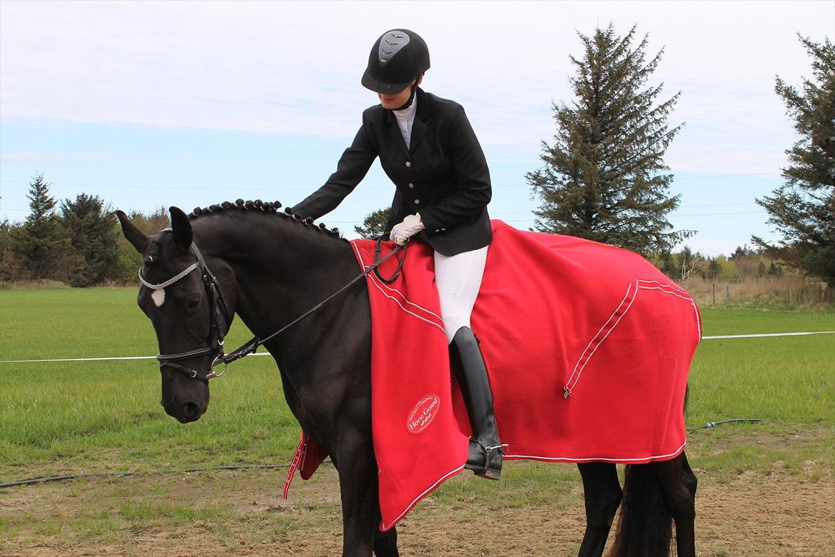 Dansk Varmblod Bella Donna<3 - Endnu ét;-) billede 2