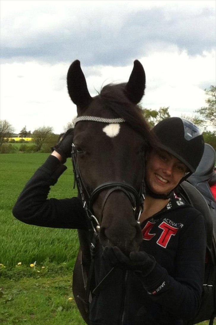 Dansk Varmblod Bella Donna<3 - Mors lille pige! :$
 billede 6