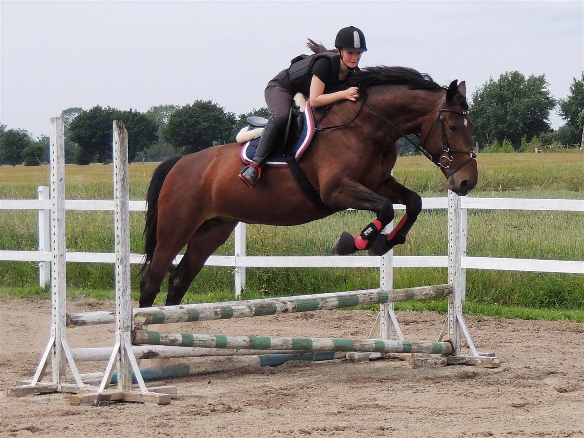 Oldenborg Gidi B. - Træning ved Louise Aagren torsdag den 28 juni 2012! :) Gidi springer med så meget overskud nu :) Det er en fornøjelse at ride på hende nu!<3 billede 14