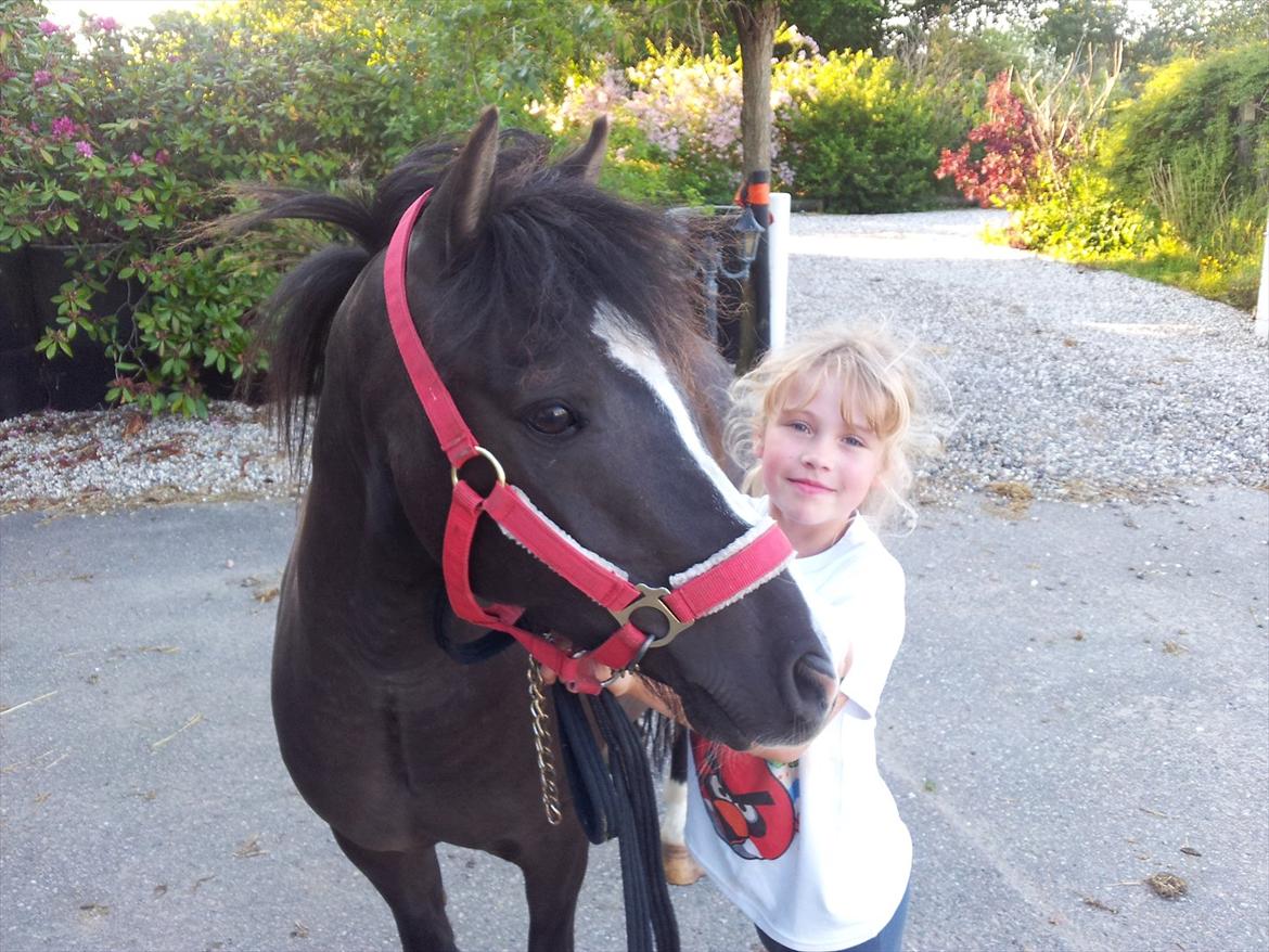 Anden særlig race Aslan - Velkommen til Julie og Aslans profil :) billede 4