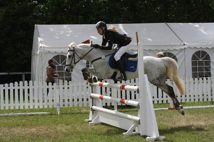 Irsk Sportspony IRISH JOKER - Fynsmesterskab 2012!

Foto: Anja Andersen. 
 billede 14
