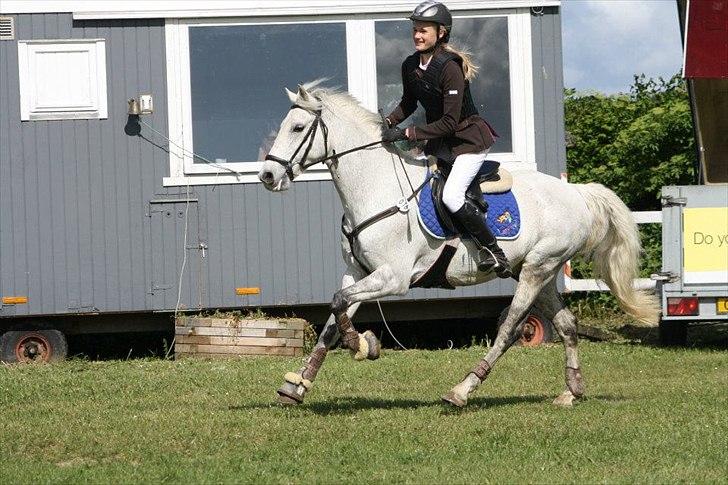 Irsk Sportspony IRISH JOKER - Når noget er perfekt, er det ikke fordi det er fejlfrit, men fordi jeg ikke ønsker det anderledes.
Fynsmesterskab 2012!
Foto: Anja Andersen.  billede 17
