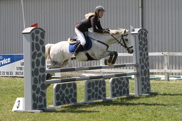 Irsk Sportspony IRISH JOKER - Fynsmesterskab 2012!

Foto: Anja Andersen.  billede 18