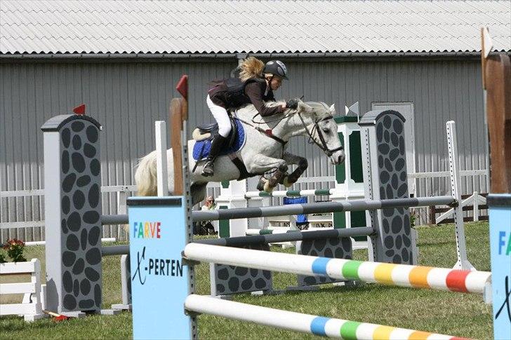 Irsk Sportspony IRISH JOKER - Det år hvor der er 367 dage på et år, det år hvor der er 13 måneder, den uge hvor der er 2 mandage først der vil jeg stoppe med, at elske dig!<3

Fynsmesterskab 2012!
Foto: Anja Andersen. billede 19