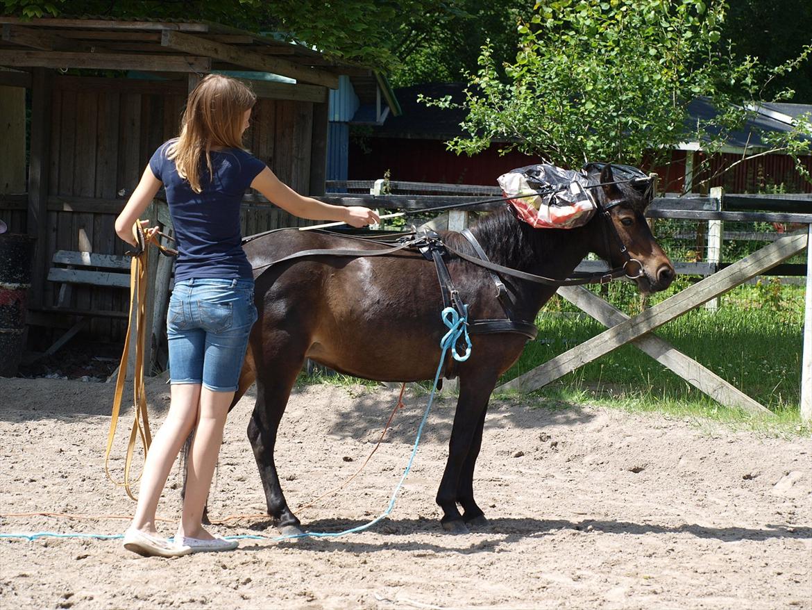 Dartmoor Klostermarkens Atlanta - En aneeeelse skeptisk :) billede 6
