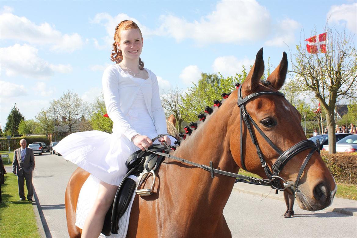 Dansk Varmblod Alicia - Min komfirmation D. 5. maj 2012<3 billede 5