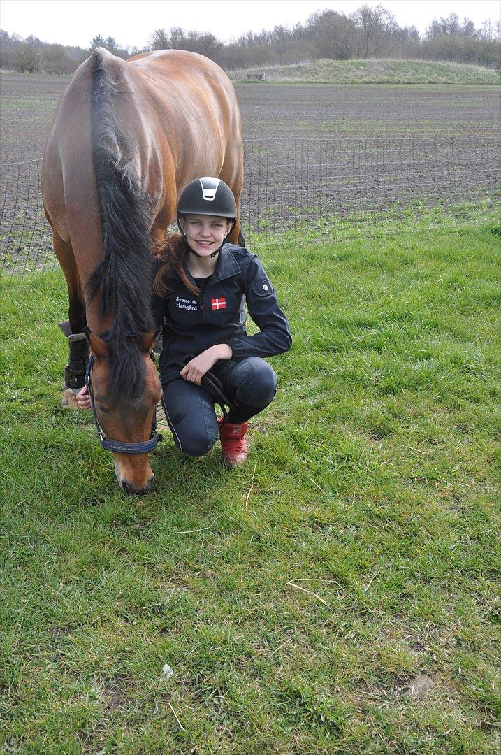 Welsh Partbred (Sec F) Marieton's Sanssousi - Sidste dag med dig smukke! <3 Foto: Mor billede 4