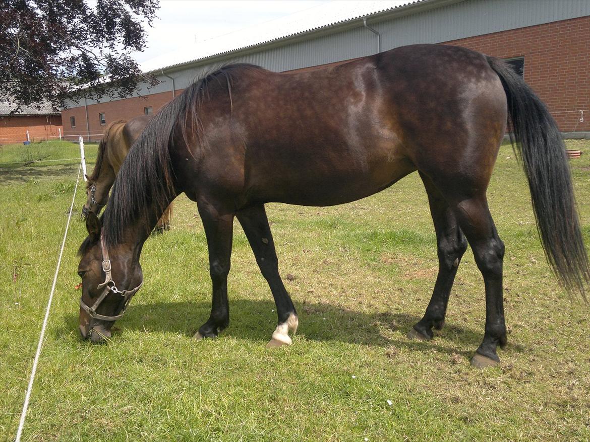 Traver Hurtis billede 8