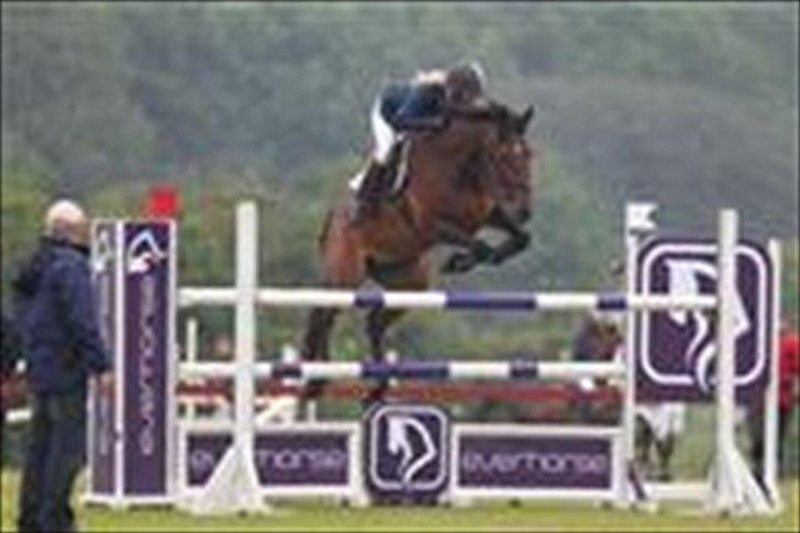Dansk Varmblod Michellina (Fie) - Fie Ma kolding 2011 billede 18